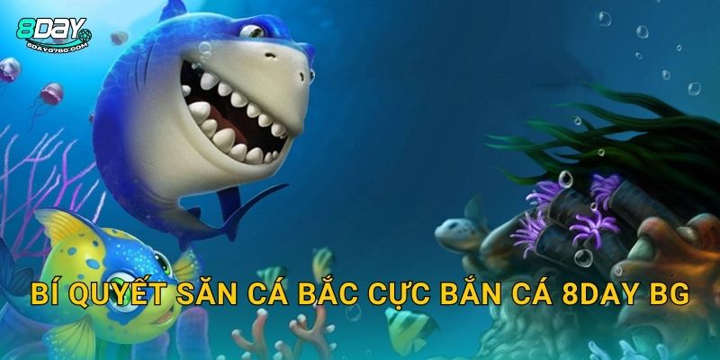 Bí quyết săn cá Bắc Cực Bắn Cá 8day bg