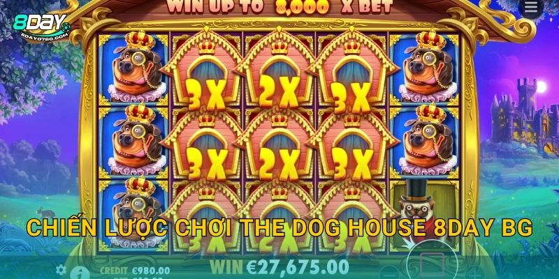 Chiến lược chơi The Dog House 8day bg