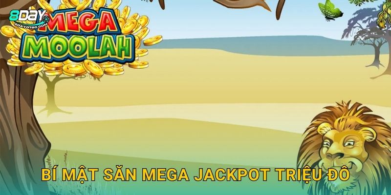 Bí mật săn Mega Jackpot triệu đô